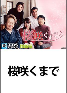直到樱花绽放图片