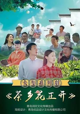 茶乡花正开图片