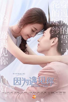 因为遇见你图片