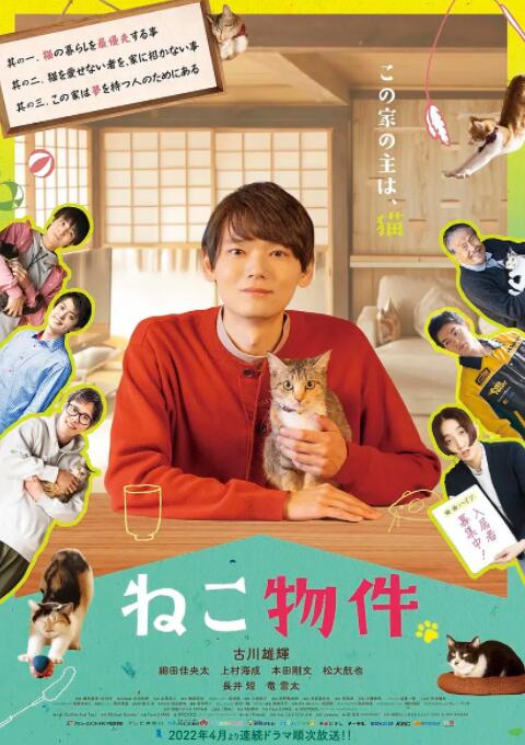 猫物件图片