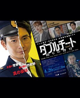 双面骗子虚假警察第一季图片